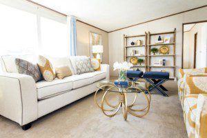 TruMH The Wonder6 300x200 TruMH The Wonder6 300x200