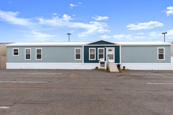 The Willison New Vision Manufactured Homes