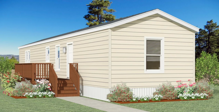 the-razor-new-vision-manufactured-homes